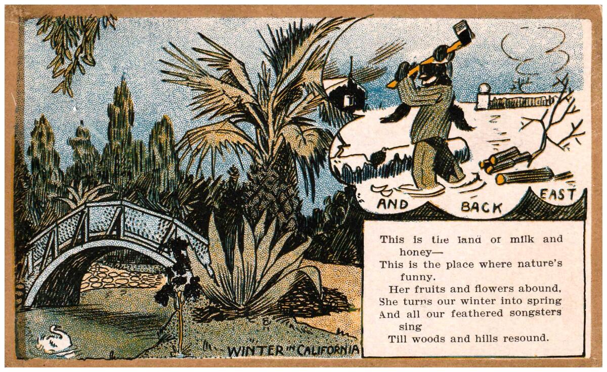A "Winter in California" postcard postmarked 1905 from the collection of Patt Morrison.