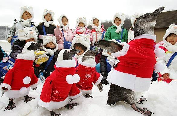 Bundled-up children compete with penguins in Santa suits for most-adorable honors at Everland, South Korea's largest amusement park, in Yongin. Christmas has become increasingly popular in South Korea, the only East Asian country to recognize it as a national holiday.