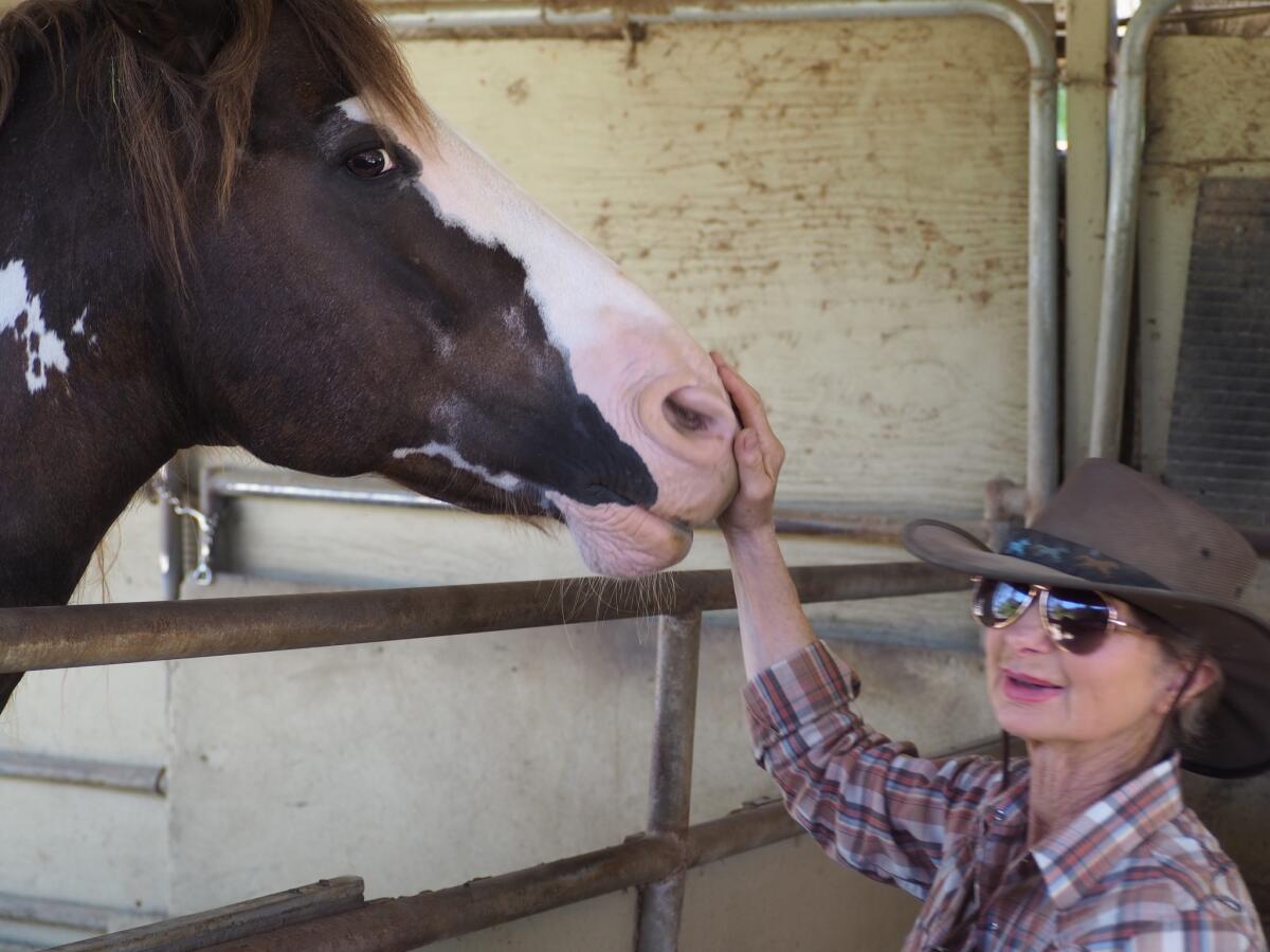 Celia Sciacca has operated the nonprofit Laughing Pony Rescue since 2010.