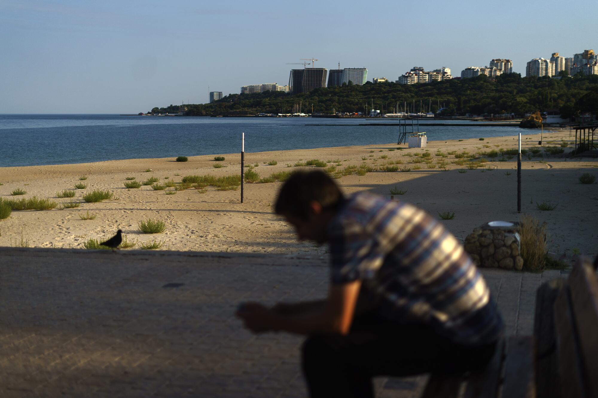 Man sits in front of empty beach.