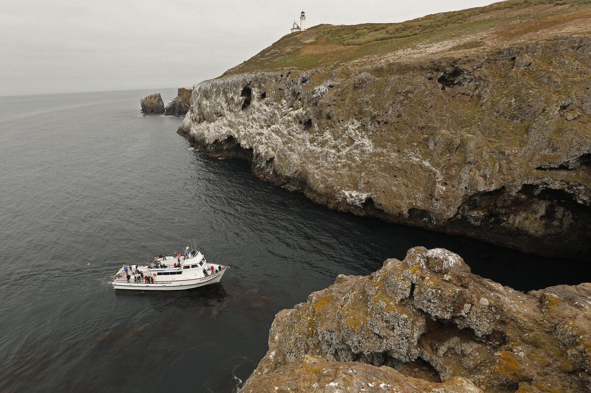 Anacapa Island 