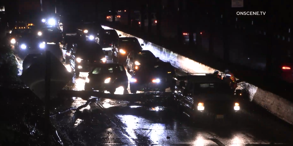 A tree fell onto the lanes of northbound state Route 163 near Robinson Avenue around 4:15 a.m. 