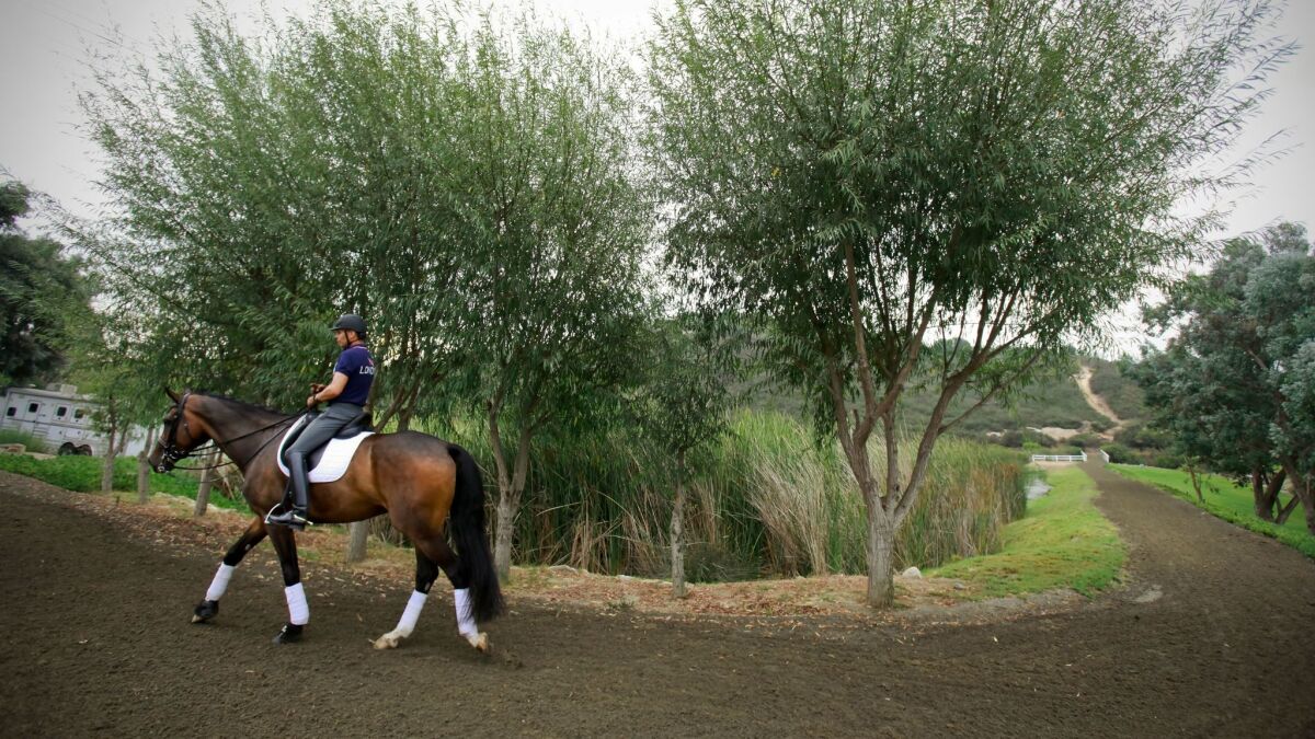 Dressage Team in the London Summer Olympics, Steffen Peters, rides Legolas, a 10-year-old Westfalien, after a practice session at Arroyo Del Mar in Carmel Valley.