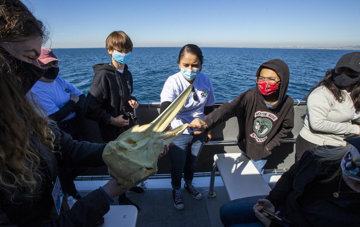Erica Page, a marine naturalist, shows students from Save Our Youth (SOY) a skull of a dolphin during Friday's trip.