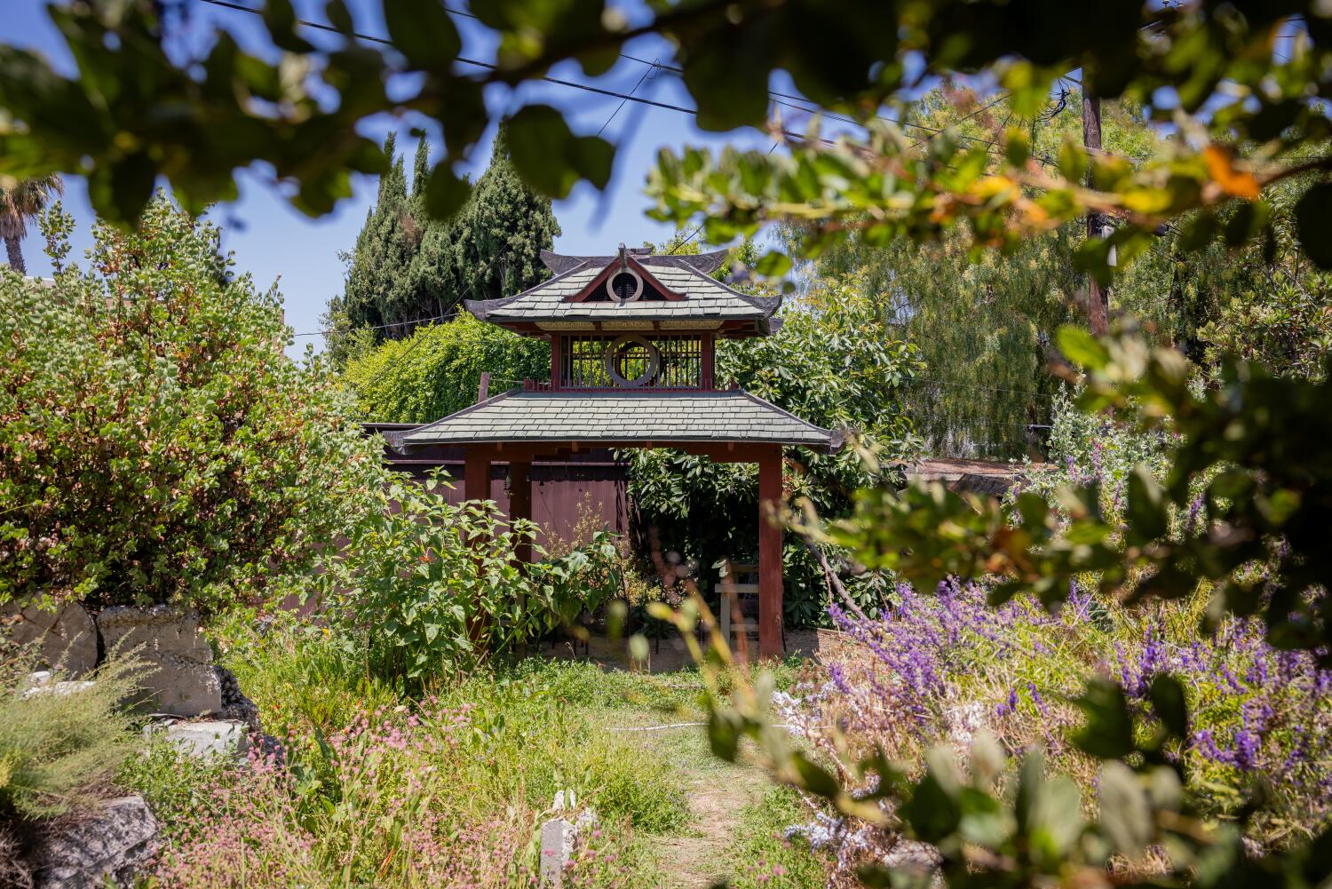 They turned a junk-filled L.A. yard into a weird and wonderful habitat garden