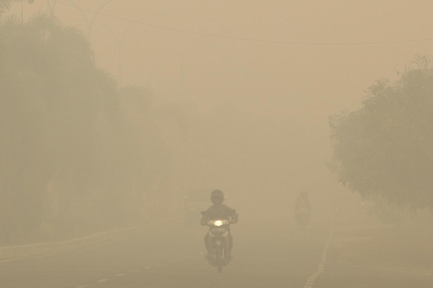 The Great Haze of 2015