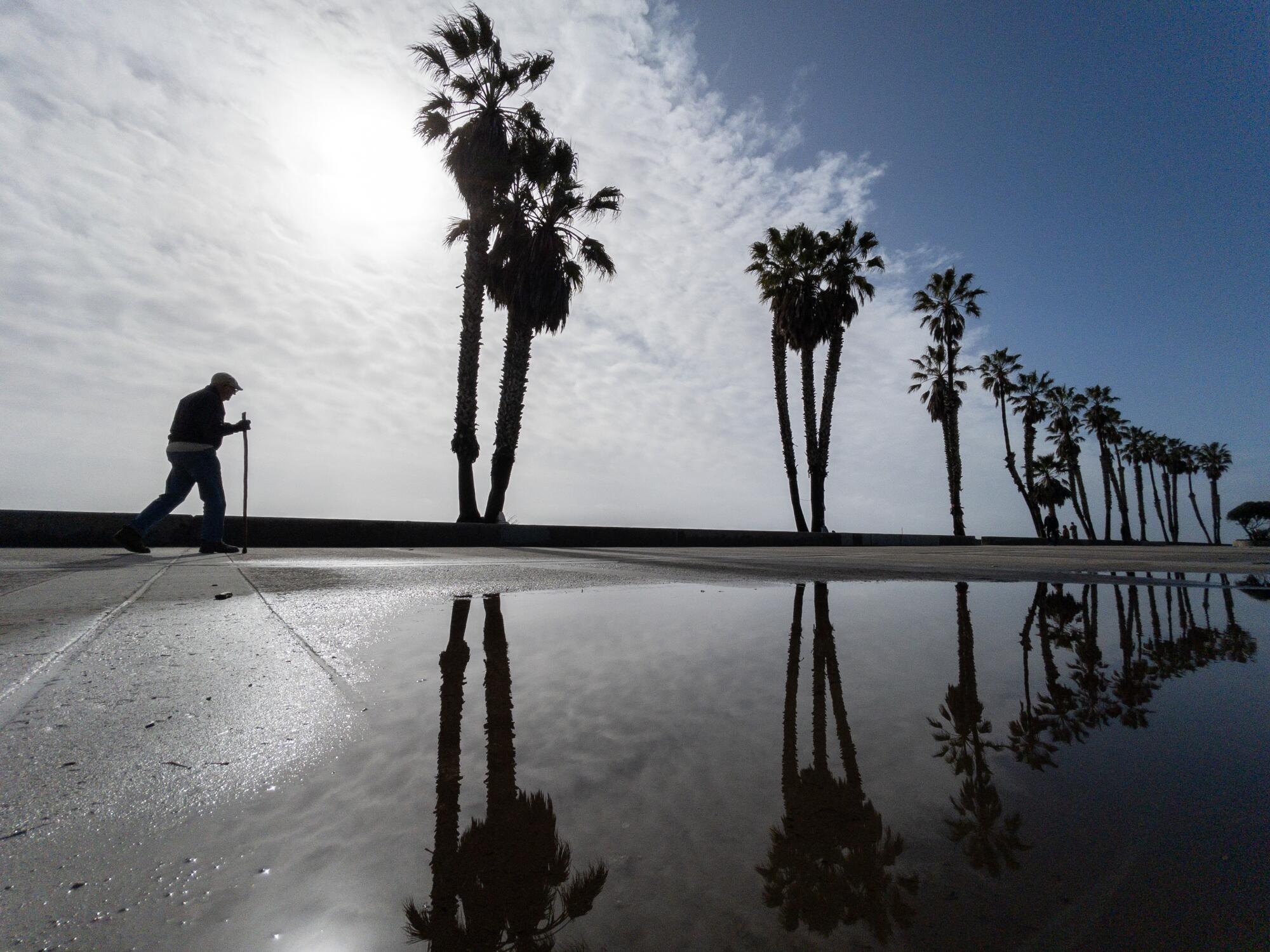 A silhouetted figure walks along a beach where palm trees are reflected in water.