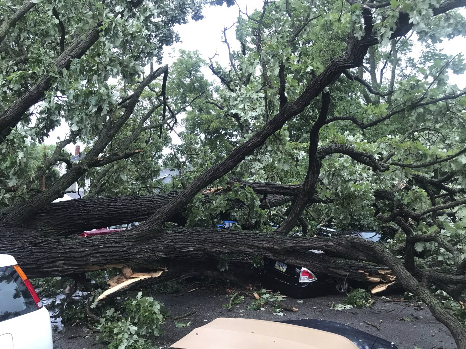 Powerful Derecho Leaves Path Of Devastation Across Midwest Los Angeles Times