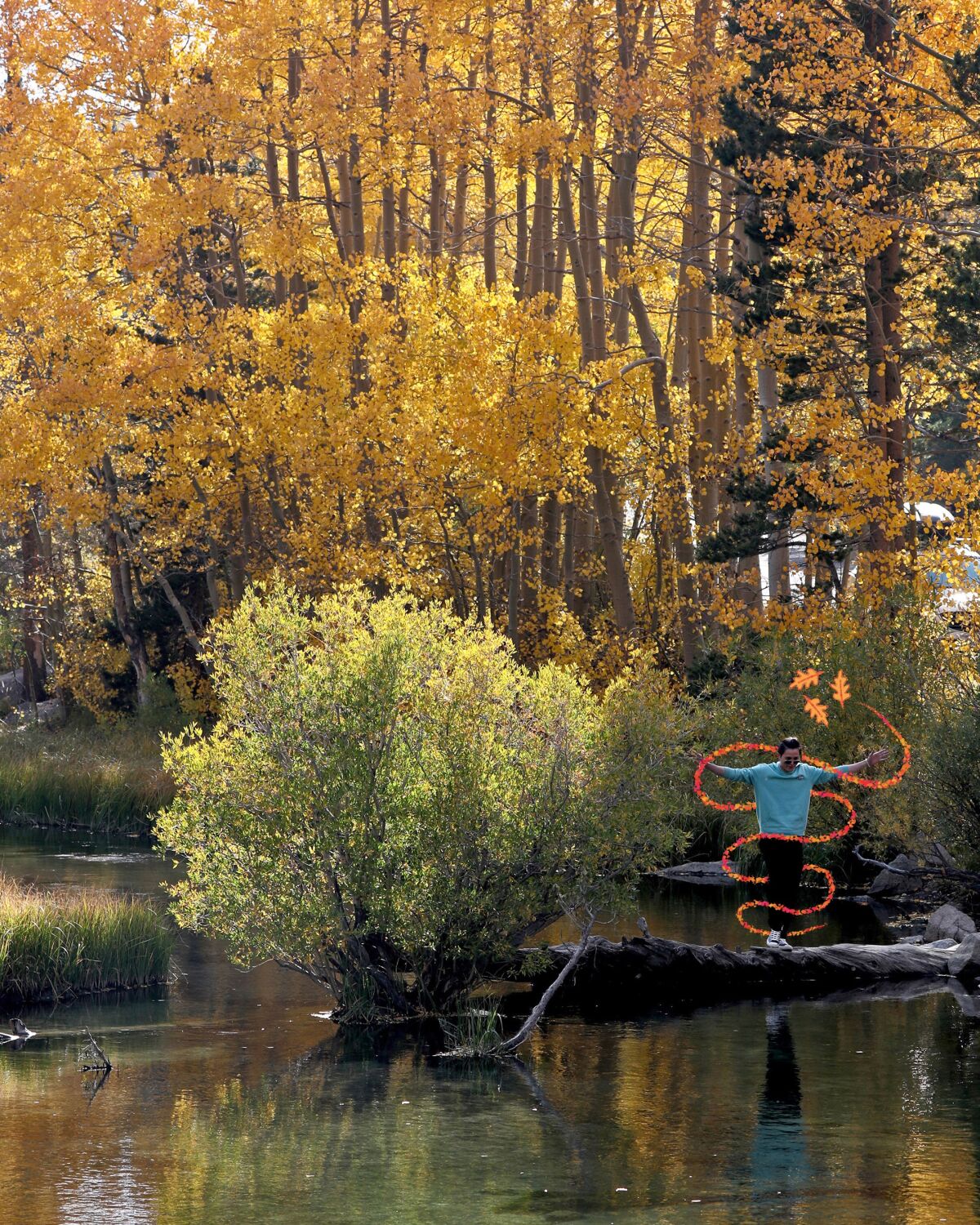 Visitors to the Lake Sabrina area in the Inyo National Forest pose for photos with colorful fall foliage.