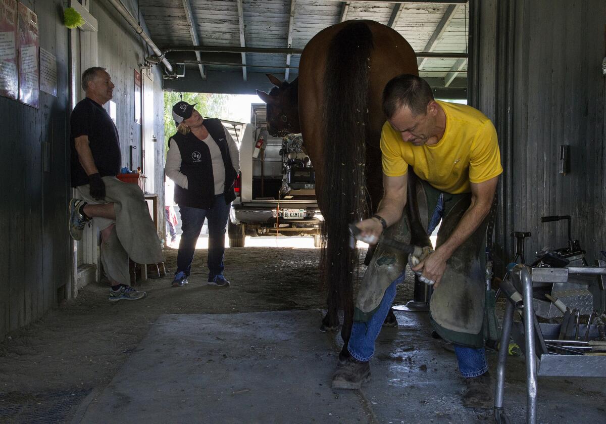 Sharla Sanders, middle, chats with Frank Conversation as the horse gets new shoes at Santa Anita Park on March 9.