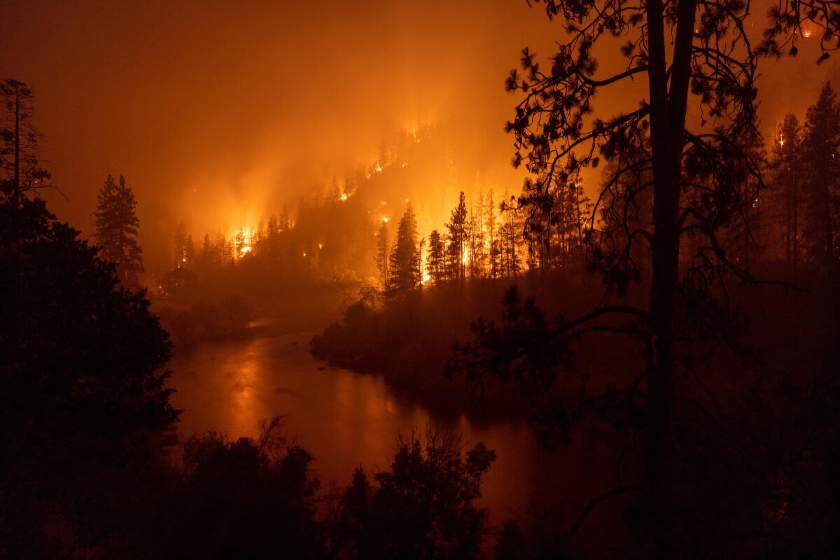 Flames burn in a forested area along a river at night