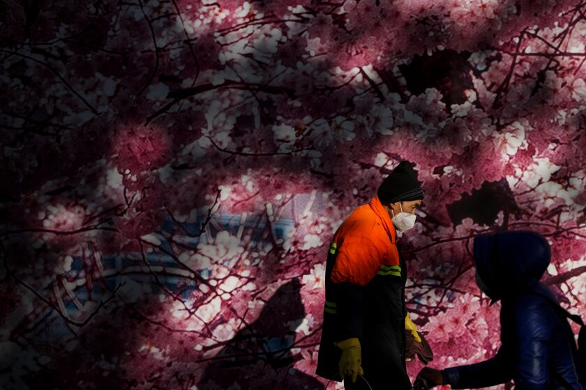 A masked worker walks through a tree's shadow cast on a mural depicting cherry blossom in Beijing, Thursday, Dec. 8, 2022. China is the last major country still trying to stamp out transmission of the virus while many nations switch to trying to live with it. As they lift restrictions, Chinese officials have also shifted to talking about the virus as less threatening — a possible effort to prepare people for a similar switch. (AP Photo/Andy Wong)