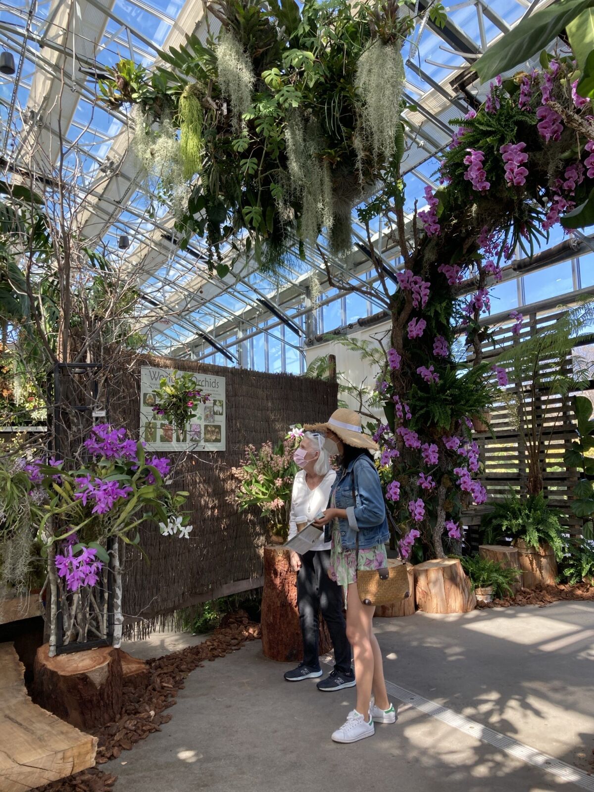 Visitors at SDBG's inaugural "World of Orchids" show held in 2021.