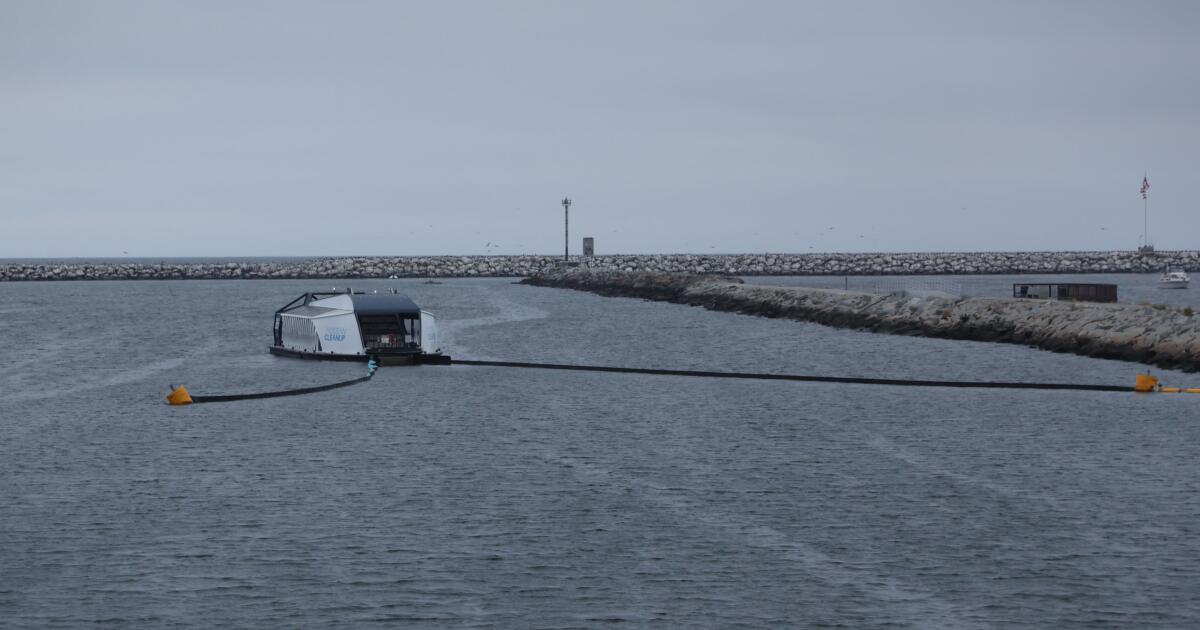 Okuyucular Santa Monica Bay Foundation'ın Trump'a aittir