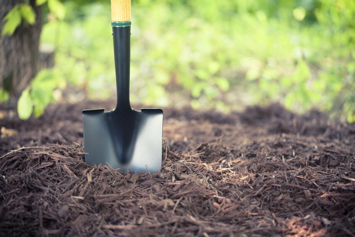 Now is a good time to refresh your garden's mulch.