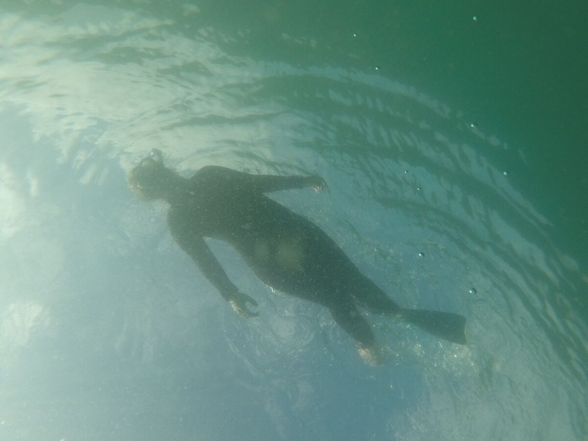 La Jolla Light reporter Ashley Mackin-Solomon snorkels in La Jolla Shores — with one fin — in search of a leopard shark.