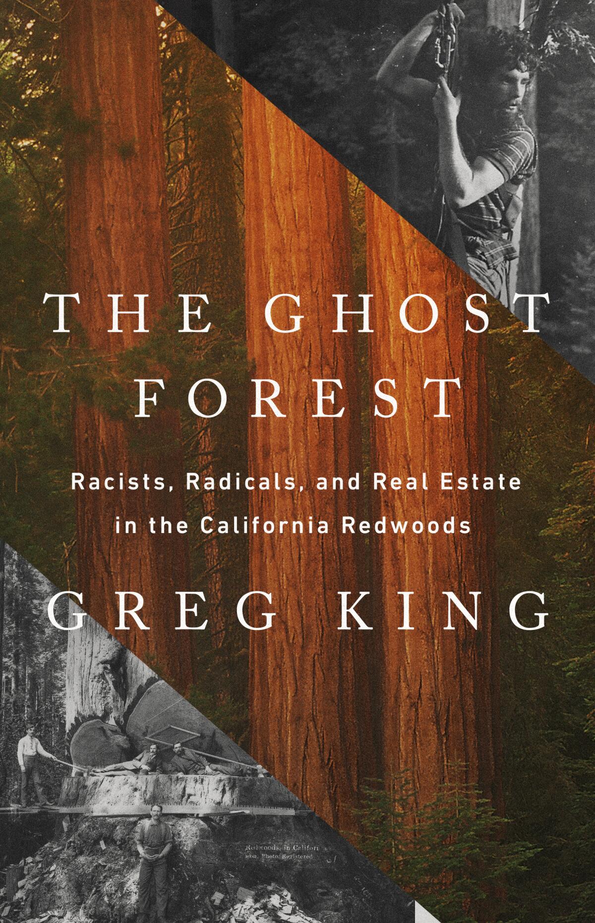 'The Ghost Forest,' by Greg King