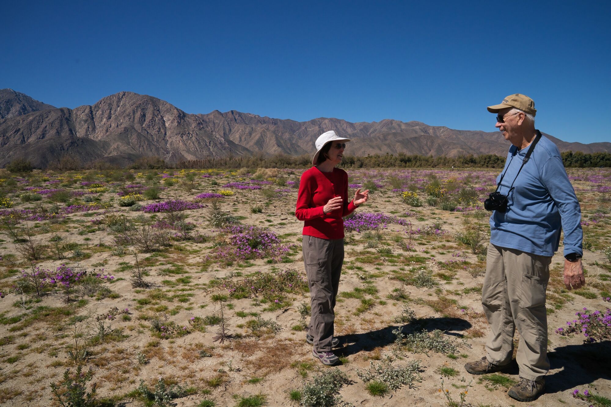 Millicent and John Price walk in an open field at Anza-Borrego Desert State Park.