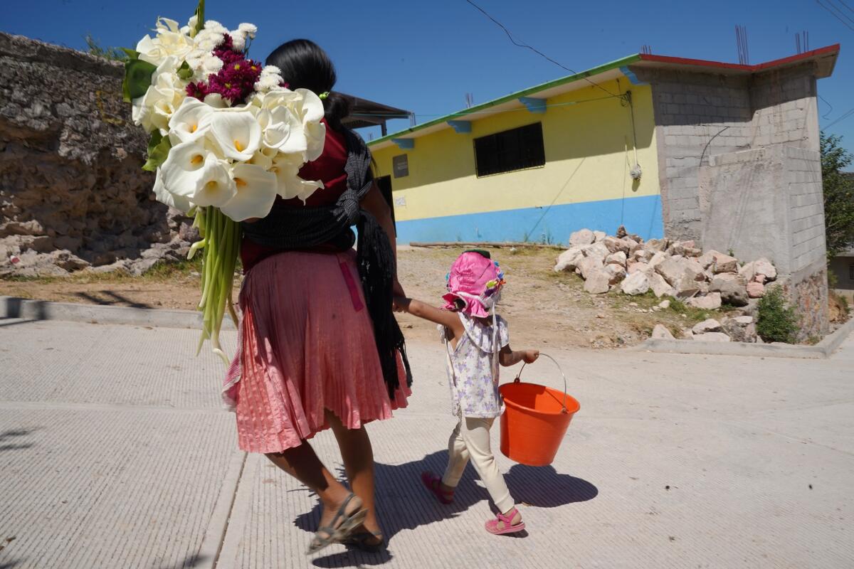 A mourner in the indigenous village of Alcozacan, in the municipality of Chilapa de Alvarez, walks to the cemetery with her daughter to leave flowers at the graves of recent victims of violence.