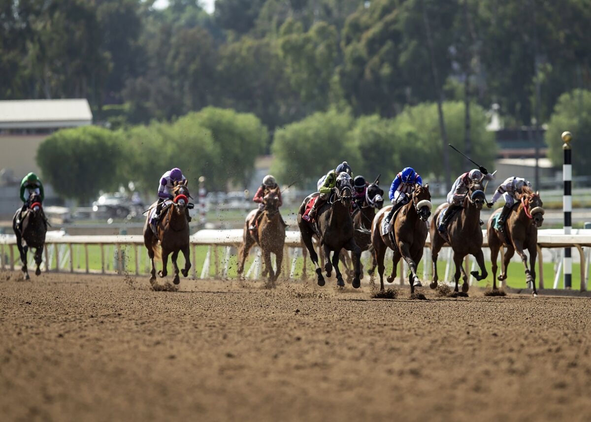 Santa Anita Entries For Sunday May 17 The San Diego Union Tribune santa-anita-entries-for-sunday-may-17-the-san-diego-union-tribune