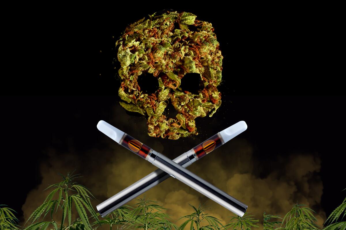 How dirty is your weed? Joint investigation finds toxic pesticides - Los Angeles Times How dirty is your weed? Joint investigation finds toxic pesticides - Los Angeles Times