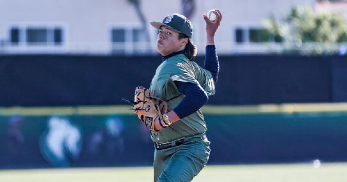 Birmingham High freshman Carlos Acuna becomes pitching ace Birmingham High freshman Carlos Acuna becomes pitching ace