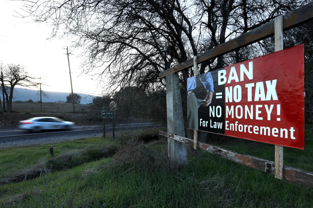 A sign on Highway 49 in San Andreas voices opposition to a ban on growing marijuana in Calaveras County.