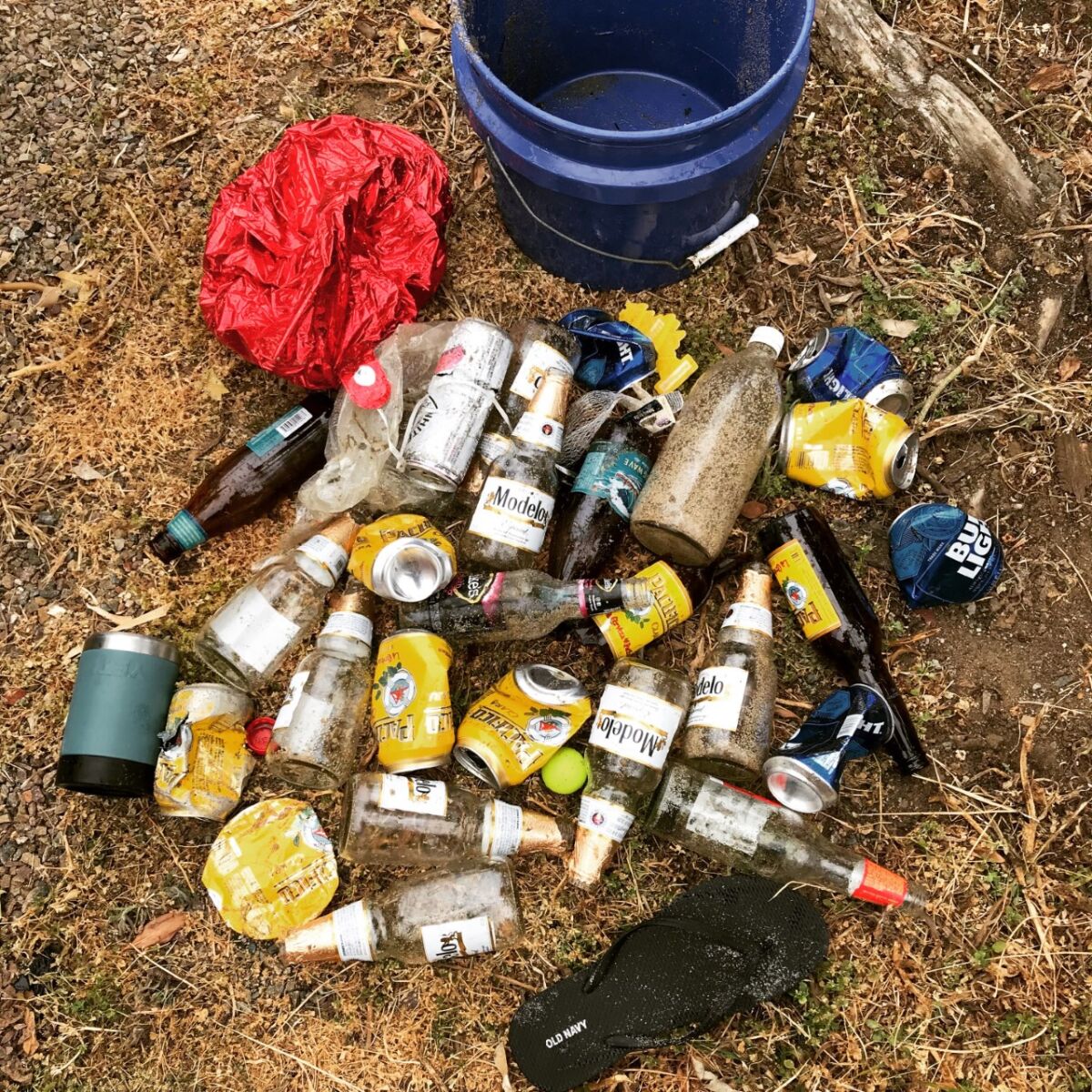 An influx of trash, including many cans and bottles of alcohol, has been found in the Sunset Cliffs area.