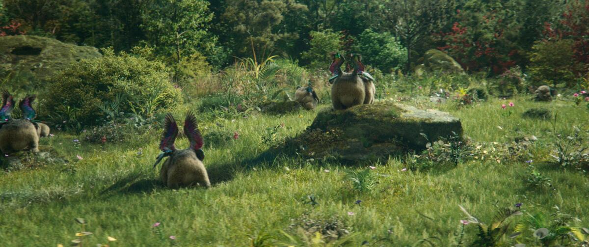 furry, winged, face-less creatures in a grassy field