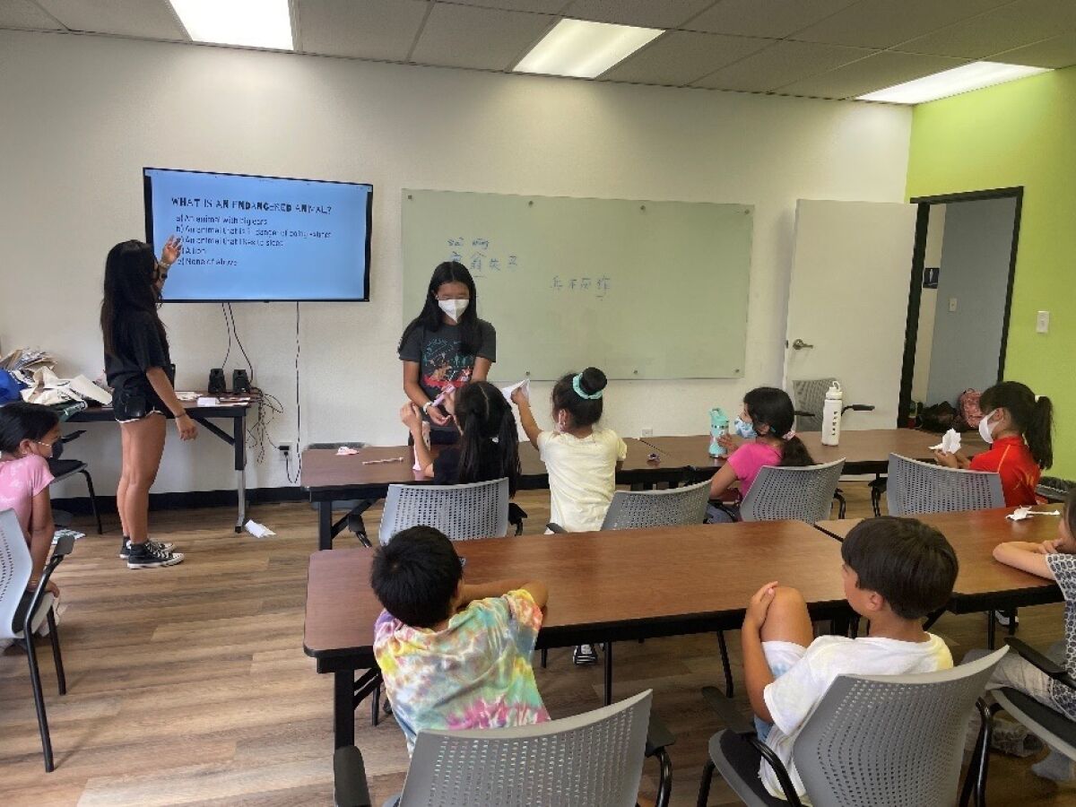 Girl Scouts shared ecology lessons at Golden Dragon Chinese School.