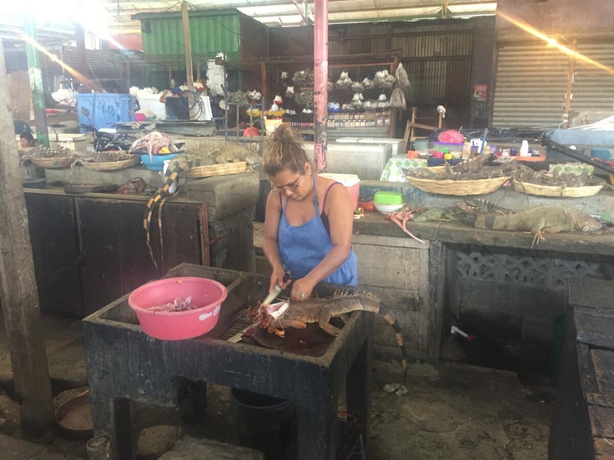 A young woman skins an iguana at her family's stand in the Mercado Oriental in Managua, Nicaragua.