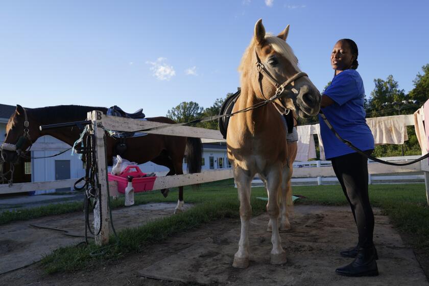 Dionne Williamson, of Patuxent River, Md., grooms Woody before her riding lesson at Cloverleaf Equine Center in Clifton, Va., Tuesday, Sept. 13, 2022. After finishing a tour in Afghanistan in 2013, Williamson felt emotionally numb. As the Pentagon seeks to confront spiraling suicide rates in the military ranks, Williamson’s experiences shine a light on the realities for service members seeking mental health help. (AP Photo/Susan Walsh)