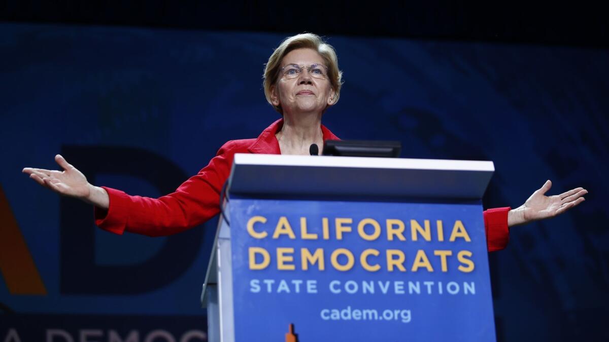 Sen. Elizabeth Warren of Massachusetts laid out several planks in her lengthy policy platform.