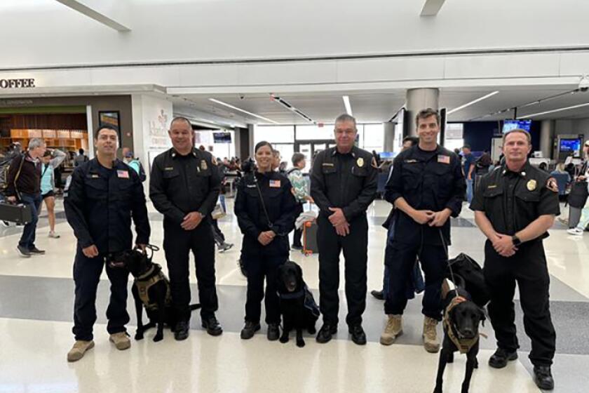 On Saturday, August 12, 2023, the Federal Emergency Management Agency (FEMA) activated the #LACoFD’s California Task Force 2 (CA-TF2) urban search and rescue (USAR) canine teams for deployment to Maui in the aftermath of the wildfires that impacted the island earlier this week. Captain Celina Serrano and K9 Prentiss, Fire Firefighter Paramedic Edward Ruiz and K9 Harper, along with Fire Fighter Paramedic Nicholas Bartel and K9 Six, are preparing for a scheduled departure from LAX on August 13, 2023 to lend their assistance in the ongoing recovery efforts in Maui.