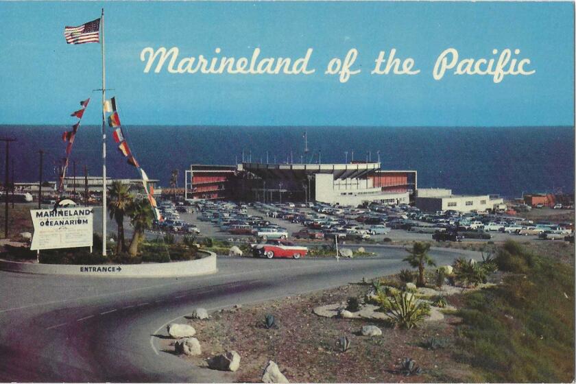 Postcard shows entrance to Marineland, with 1950s-era cars in the parking lot and the blue ocean in the background