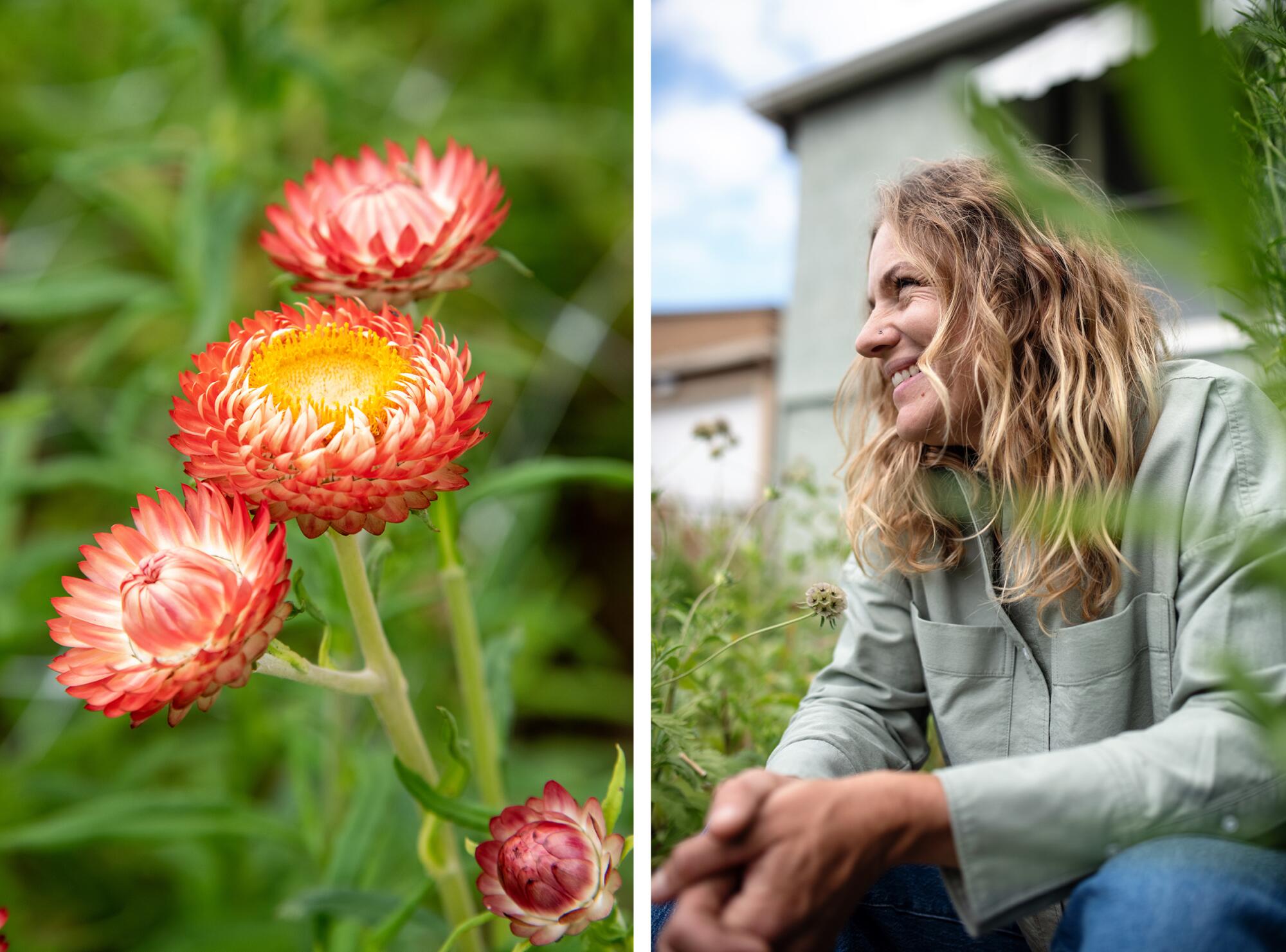 Strawflowers, left, and Rachel Nafis sits among one of the gardens she planted in one of her neighbors yards, right.