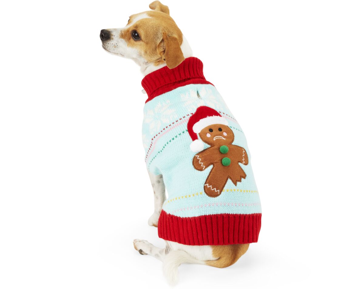 Gingerbread Man Dog Sweater from Petco