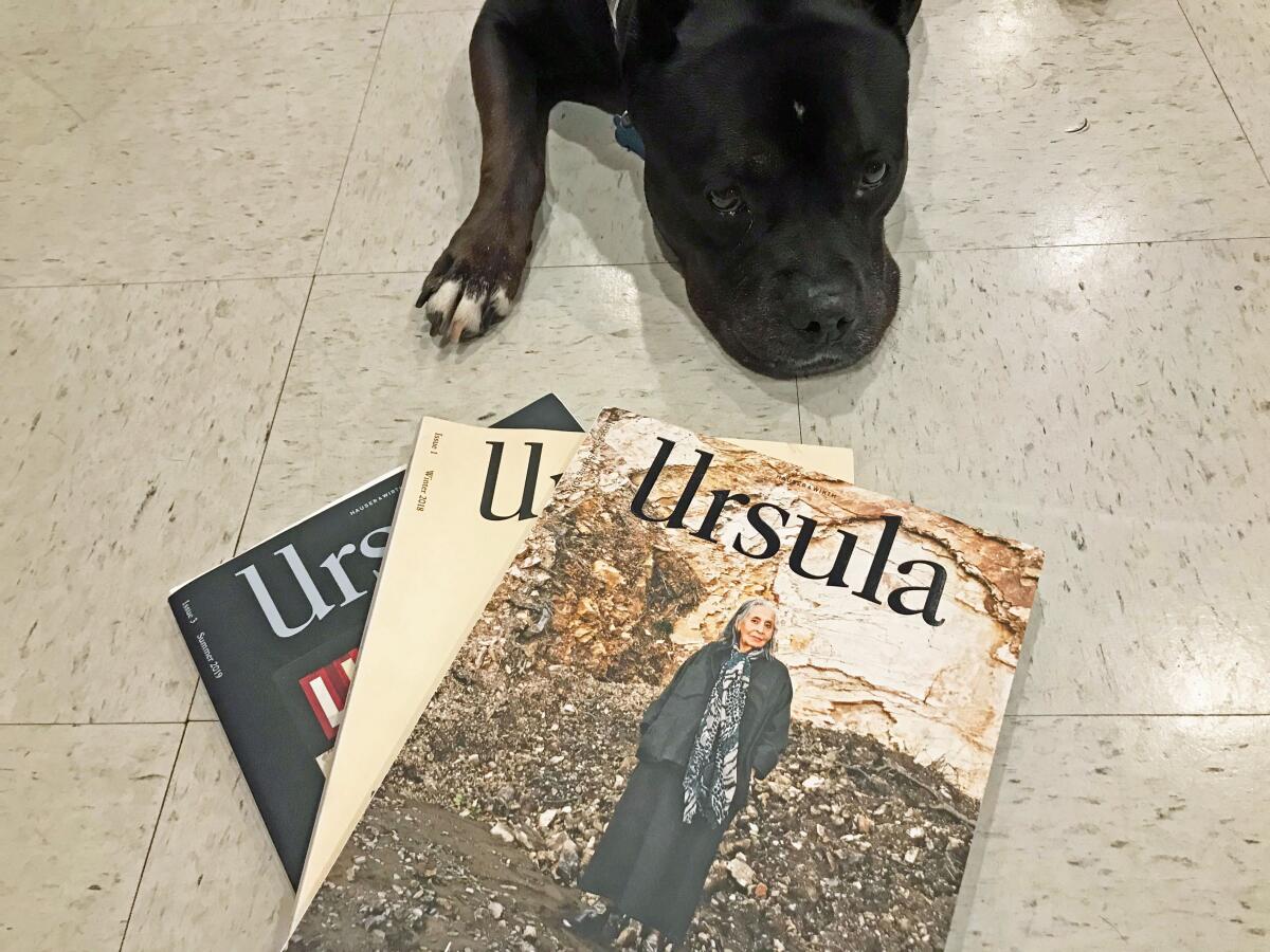 Bonnie the artsy pit bull catches up with the quarterly art magazine Ursula.