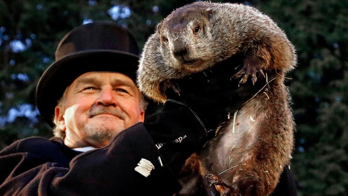 It's Groundhog Day: Here are 5 things to know - Los Angeles Times