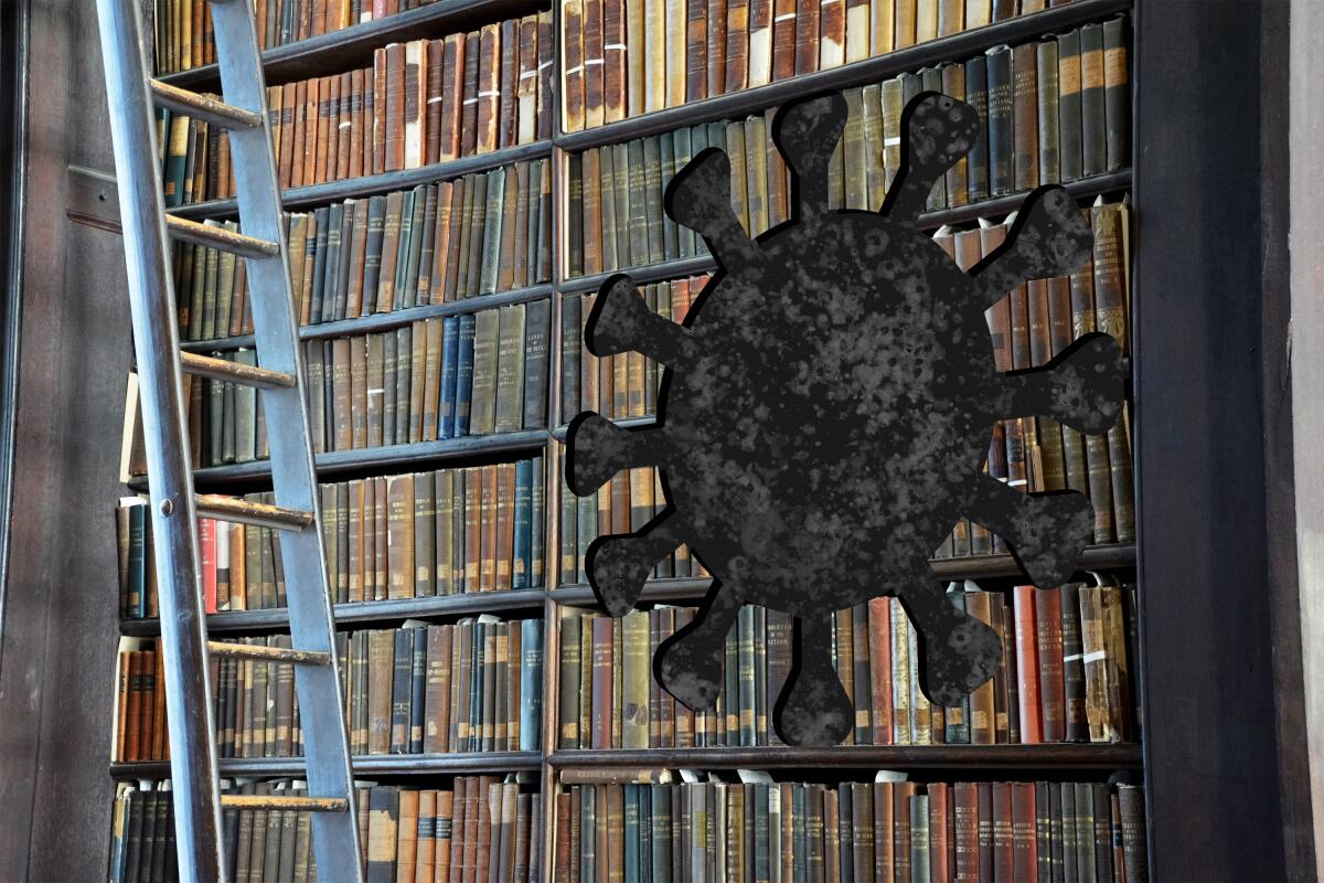 A bookcase with a coronavirus shape cut into it. 