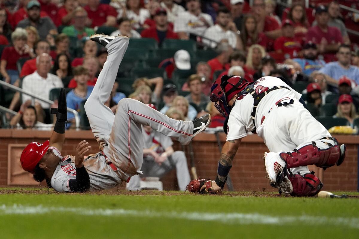 Cincinnati Reds' Jose Barrero, left, scores past St. Louis Cardinals catcher Yadier Molina during the ninth inning of a baseball game Friday, Sept. 10, 2021, in St. Louis. (AP Photo/Jeff Roberson)