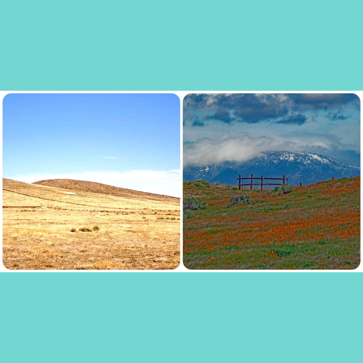 Before and after photos of The Antelope Valley Poppy Reserve