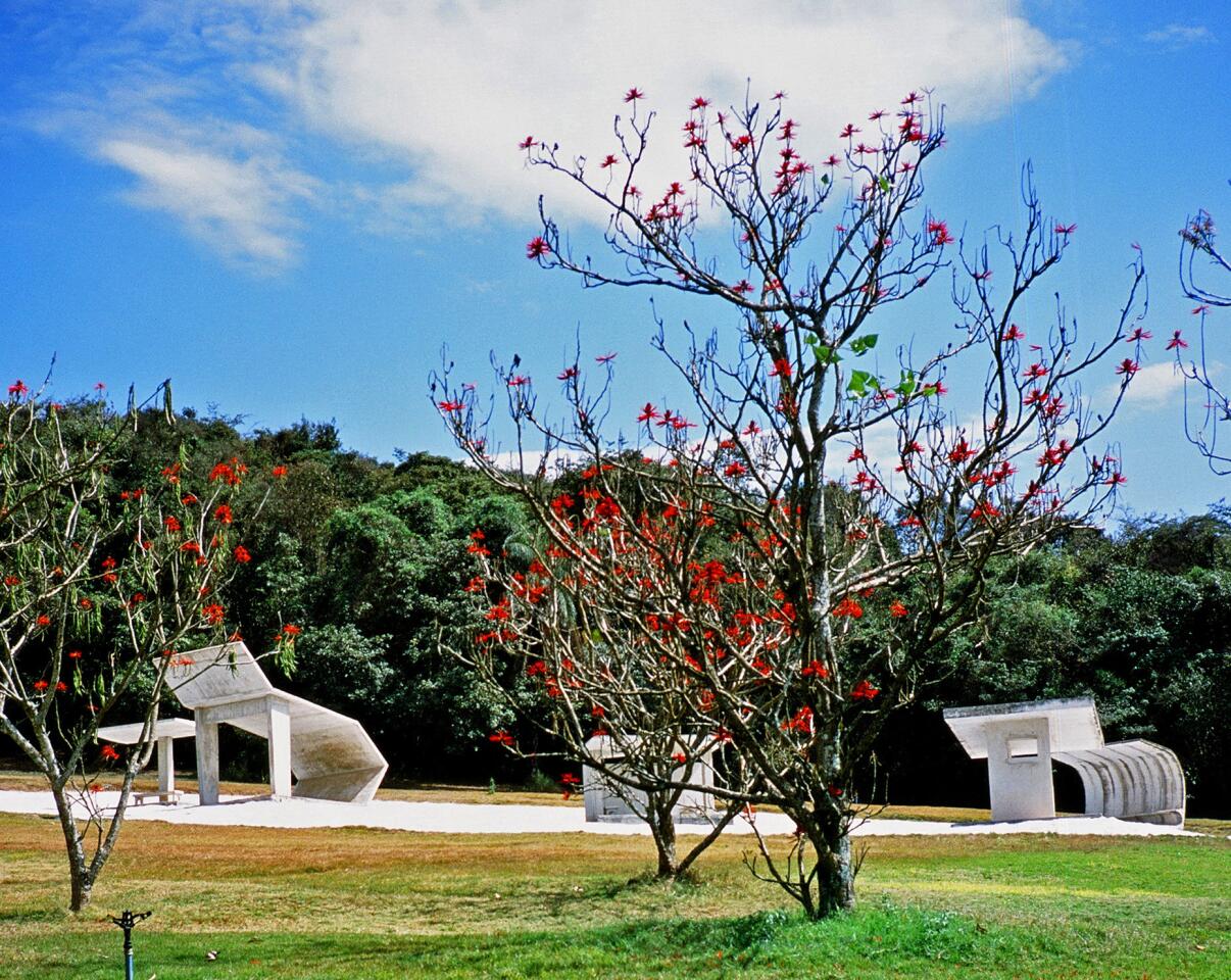 Brazil art forest