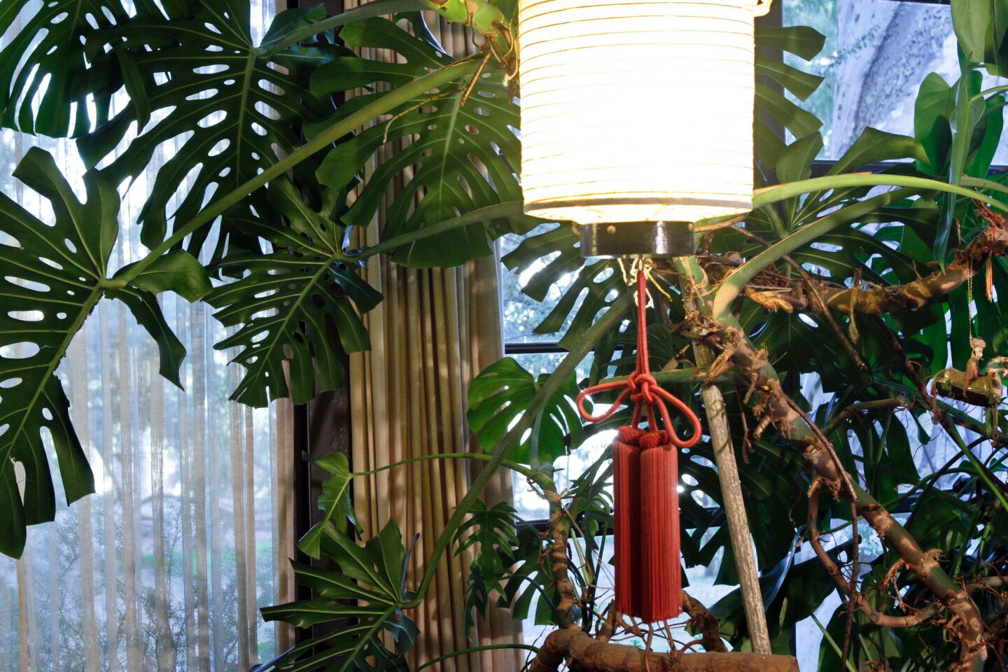 A Chinese lantern hangs in front of one of the same house plants that, quite amazingly, can be seen in historic photos of the house. Since the Eameses' deaths – Charles in 1978, Ray exactly 10 years later, to the day – a caretaker has kept the house in a state of suspended animation, as though Ray has simply the left the house on an errand.