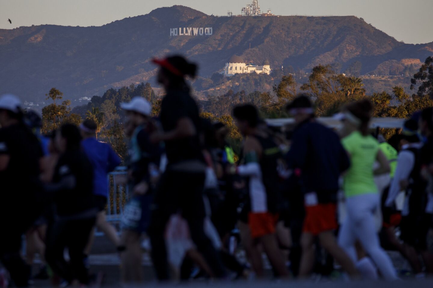 The Hollywood sign and Griffith Observatory frame runners in L.A. Marathon.