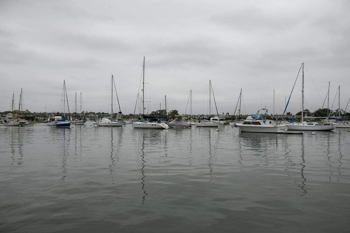 Boats are anchored in the offshore Mooring Field C in the Newport Channel.