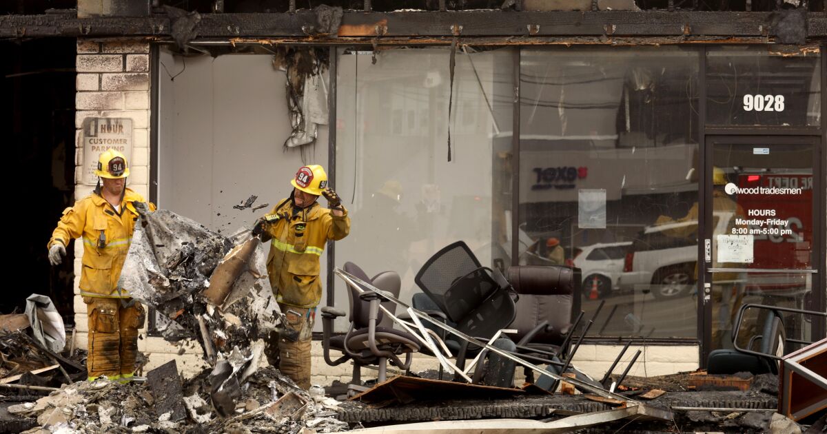 Firefighter hospitalized, cats die in Palms mall fire