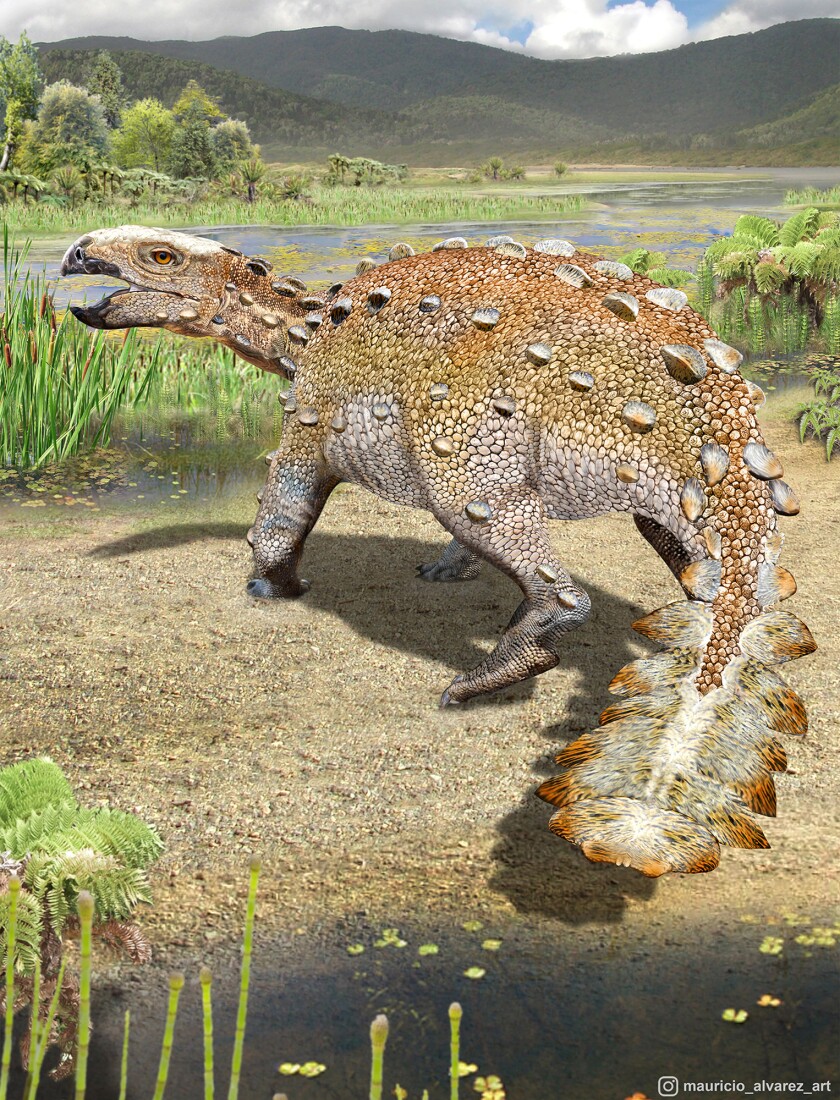 Dinosaurio hallado en Chile tenía una cola cortante única