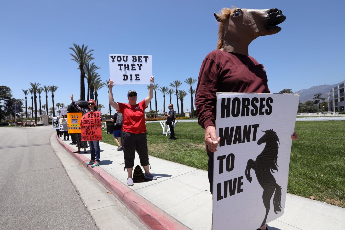 Robert Penney wears a horse mask while protesting with animal rights activists outside Gate 5 at Santa Anita Park in Arcadia on June 23. Thirty horses died at Santa Anita from Dec. 26-June 23, 2019.