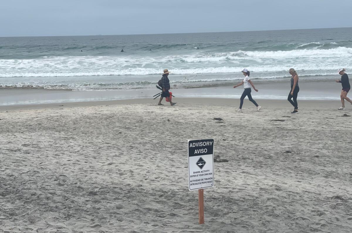 A shark advisory was posted recently at Torrey Pines State Beach after a 10- to 12-foot shark was reported near divers.